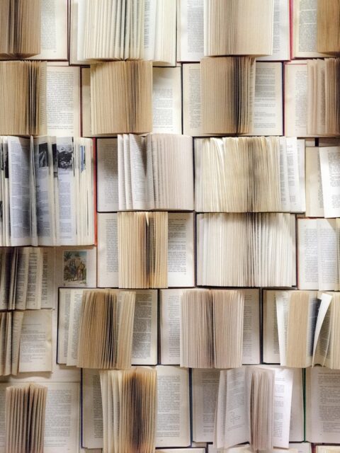 A wall of books